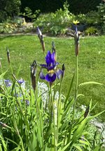 IMG_5153.jpeg