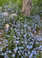 IMG_5157.jpeg
