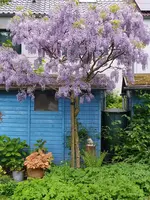 IMG_20240502_105309.webp