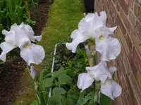 IMG_20240502_104706.webp