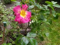 IMG_20240502_104652.jpg
