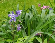 IMG_20240502_173851.jpg