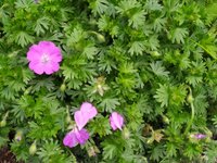 IMG_20240502_104511.jpg