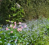IMG_20240502_170826.jpg