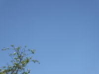 P1040221blauer Himmel.JPG