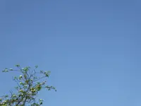 P1040221blauer Himmel.JPG