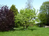 P1040248Quitte.webp