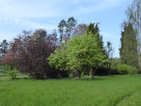 P1040264Übersicht.JPG
