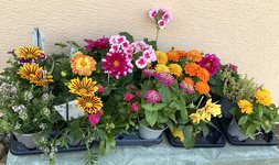 IMG_1677.JPG