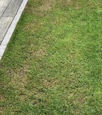 IMG_5270.jpeg