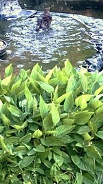IMG_E1674.JPG