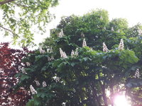 20240502_175457.jpg