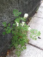 20240503_135228.webp