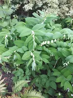 20240503_183619.webp