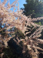 20240503_092702.jpg