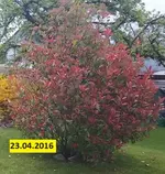 2016.04.23_.webp
