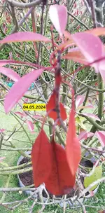 20240504_3.webp