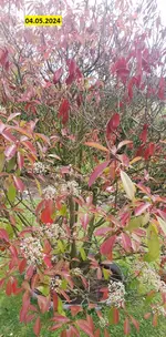 20240504_.webp