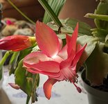 PXL_20240504_102619270~2.jpg