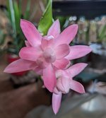 PXL_20240504_102447837~2.jpg