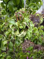 IMG_20240504_141424.webp