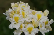 2024blmn(100)43.jpg
