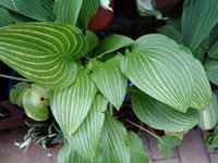 DSC01081.JPG