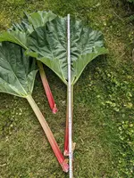 PXL_20240505_152042751.jpg