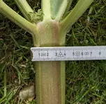 PXL_20240505_152158301~2.jpg
