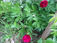 DSC03365.JPG