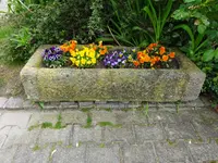 DSC03361.webp