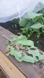 IMG-20240507-WA0010.webp