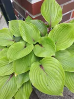 20240507_115456.webp