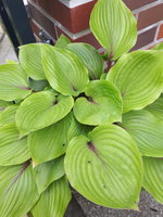 20240507_115456.jpg