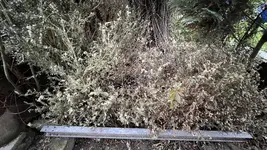 IMG_9926.jpeg