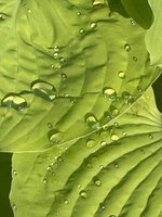 IMG_2879.jpeg