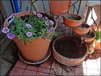 c010.webp
