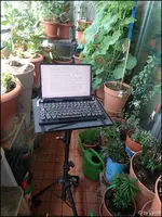 c011.webp
