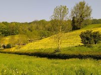 IMG_20240509_110453.jpg