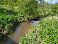 IMG_20240509_110626.jpg