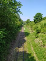IMG_20240509_120151.jpg