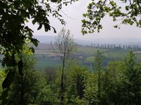 IMG_20240509_122527.jpg