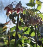 IMG_1505.JPG
