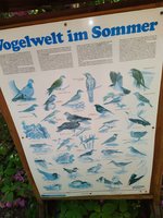 IMG_20240508_132038.jpg