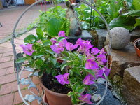 DSC03377.JPG