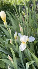 IMG_9939.webp