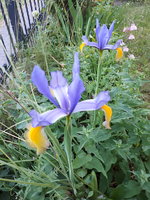 20240508_193530.jpg