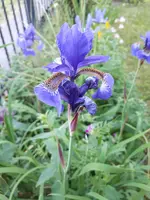 20240508_193526.webp