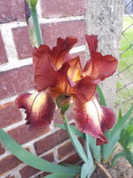 20240507_153543.jpg