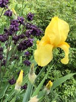 IMG_6363.jpeg
